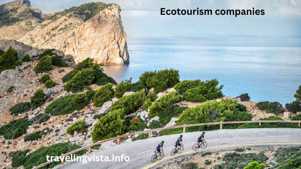 Ecotourism companies