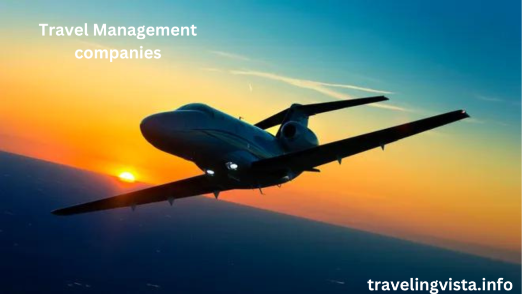 Travel Management companies